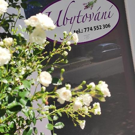 Ratiskovice Apartman Cafe U Kordulky מראה חיצוני תמונה